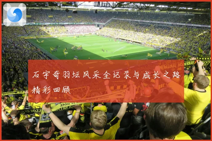 石宇奇羽坛风采全记录与成长之路精彩回顾