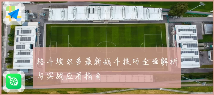 格斗埃尔多最新战斗技巧全面解析与实战应用指南