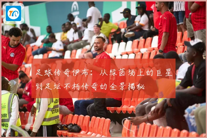 足球传奇伊布：从绿茵场上的巨星到足坛不朽传奇的全景揭秘