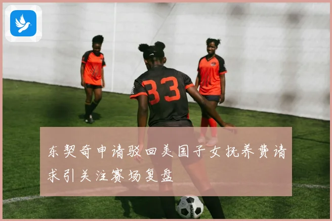 东契奇申请驳回美国子女抚养费请求引关注赛场复盘