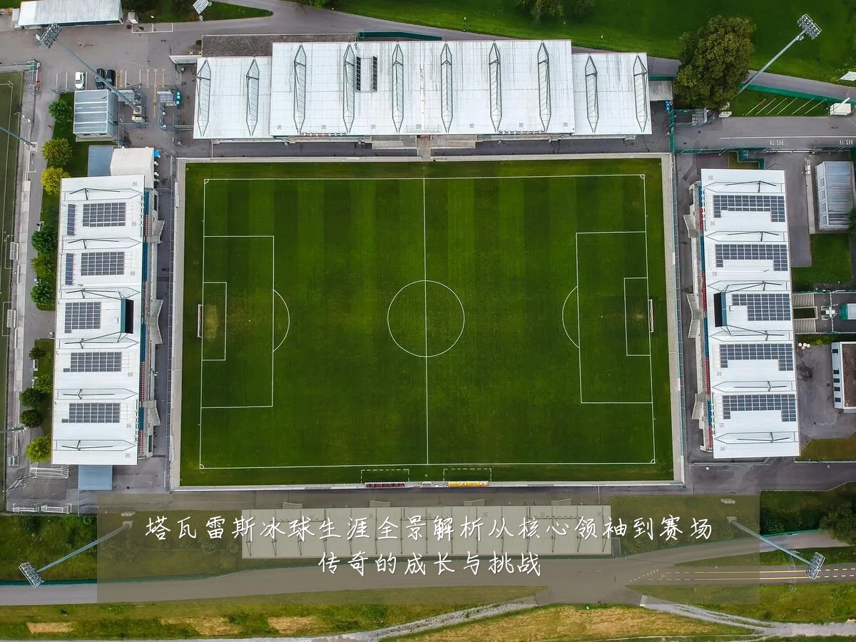 塔瓦雷斯冰球生涯全景解析从核心领袖到赛场传奇的成长与挑战
