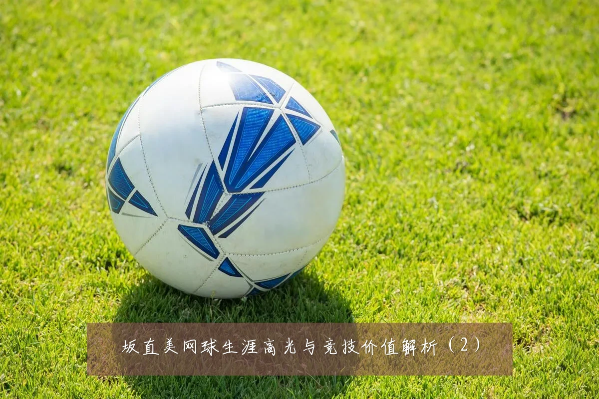 坂直美网球生涯高光与竞技价值解析(2)